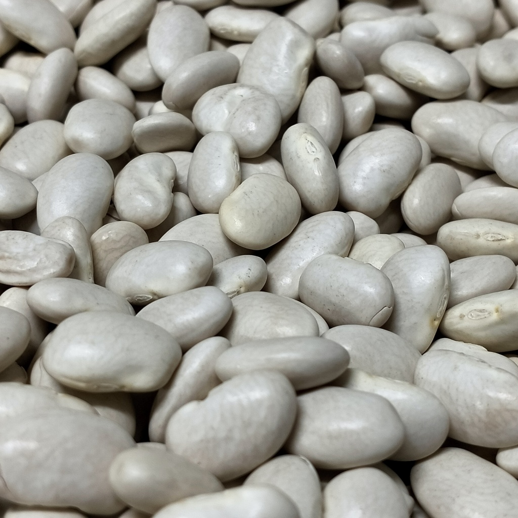 Fagioli piattella